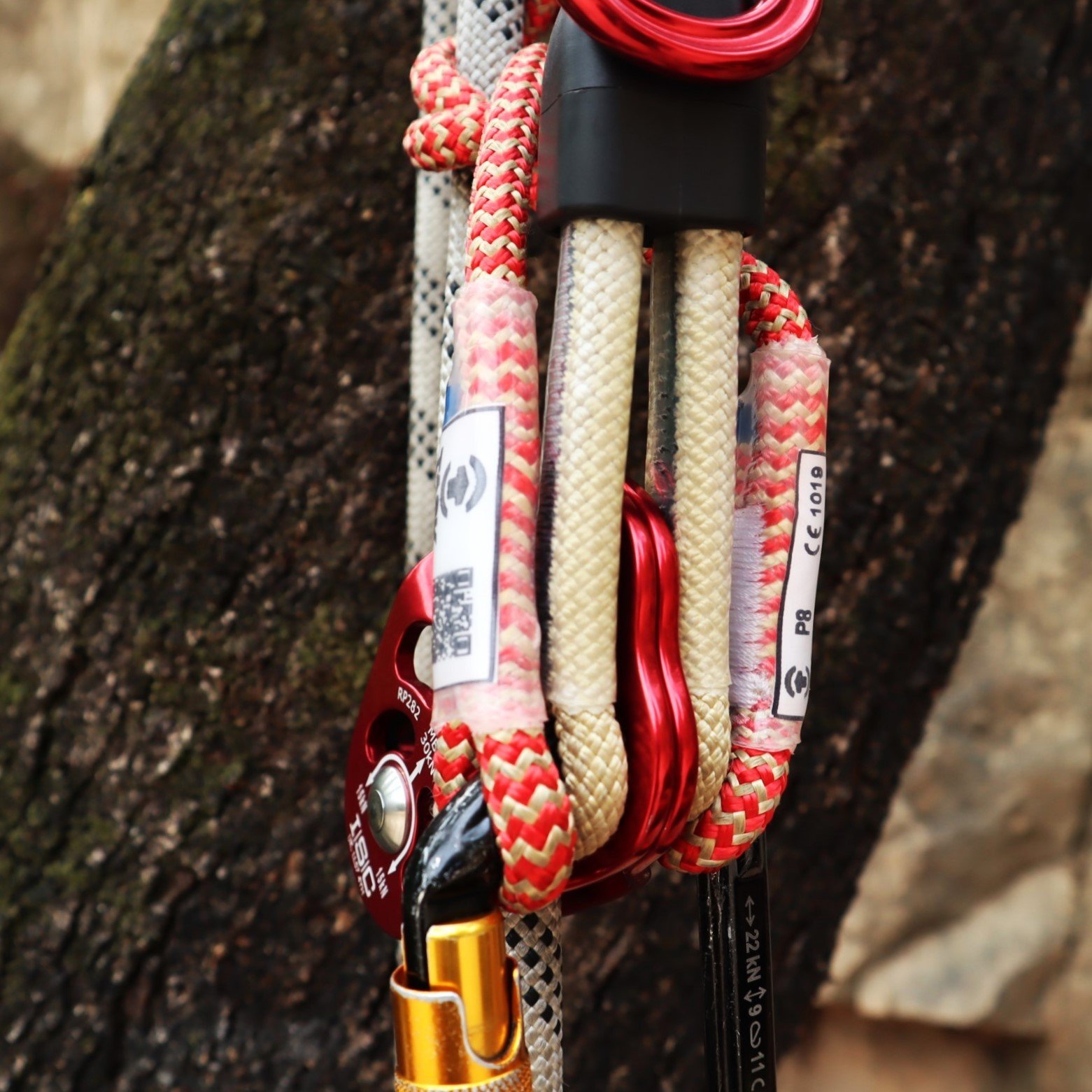 EXTENSOR ISC SQUIRREL COM MOSQUETÃO 310mm ANSI Z133 UK CE EN - TASK
